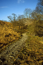 The West Highland Way in Glen Falloch