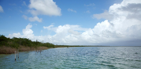 Muyil Lagoon