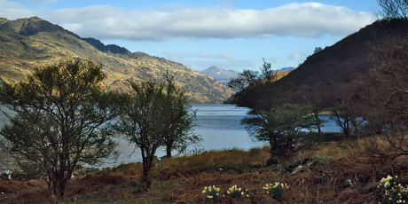 Loch Lomond between Cailness and Inversnaid