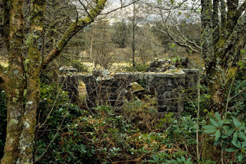 Ruins north of Victoria Bridge