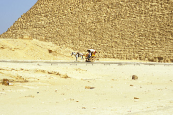 Horse and carriage at the Great Pyramids