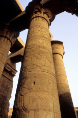 Kom Ombo, in the hypostyle hall