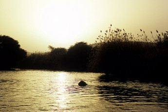 Aswan, sunset at the Nile cataracts