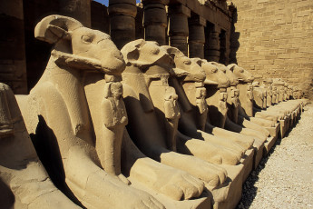 Karnak temple, rwo of rams behind the first pylon
