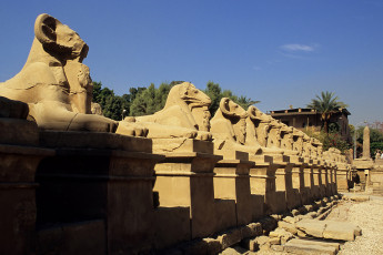 Karnak temple, row of rams outside the entrance