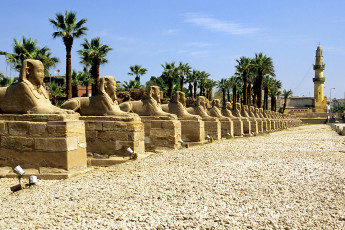 Luxor temple, Sphinx avenue