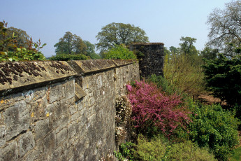 Powderham Castle, east corner of the wall