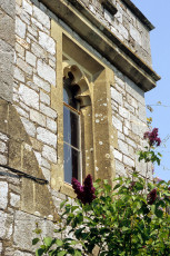 Powderham Castle, window