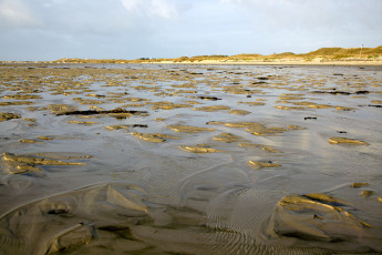 Low Tide, German North Sea